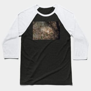 Sleeping Bobcat Baseball T-Shirt